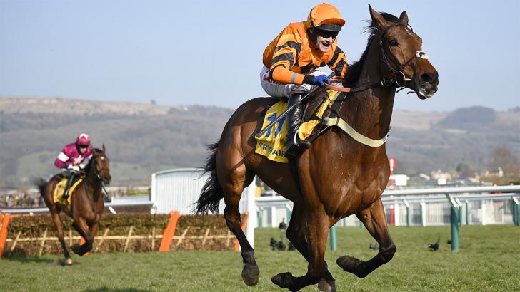 Thistlecrack takes aim at Gold Cup glory this season